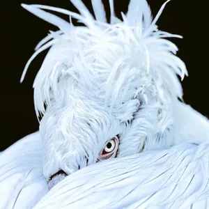 JULIUS ユリウス ダメージ加工ニット ジャガード crack期 日本製