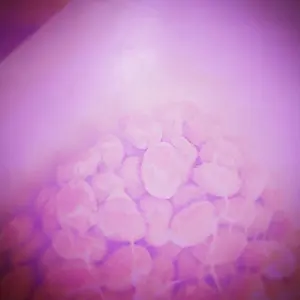 C*r様 【Mezz Cues】ビリヤードキュー バットのみ（11TN-B） ケ - メルカリ
