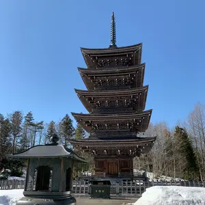 希少抽選20体限定 まんだらけノンスタンダードコレクション キング