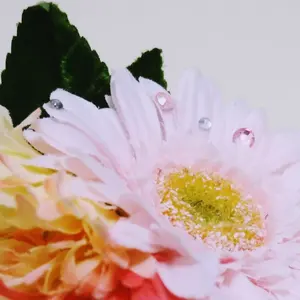 叶kanAI✧⁠*⁠。