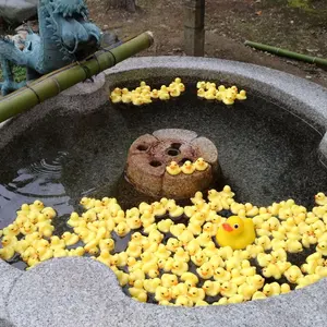 大型 清朝 青花 唐草 染付 散蓮華 - メルカリ