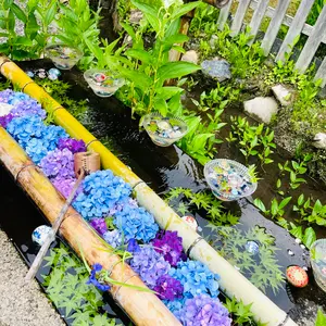 正規品ligne roset ピンクG 新品タグ付き パフのみ - メルカリ