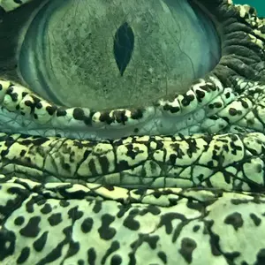 Trout spoos Lab.トラウトスプーンラボ オリジナルロッド - メルカリ