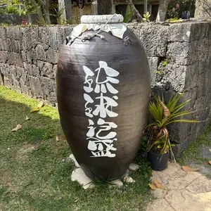 CLIMATE 鳳凰 21インチ アルファード40系 - メルカリ