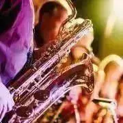 AKAI EWI1000 & EWV2000調整、動作確認済み ソフトケース付き - メルカリ