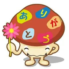 ゼンリン住宅地図 福岡市南区・城南区・春日市・大野城市 4冊セット