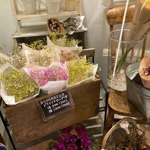 LILY BROWN ハーフスリーブデニムジャケット 小川彩ちゃん着用 LILY BROWN ハーフスリーブデニムジャケット 小川彩ちゃん着用