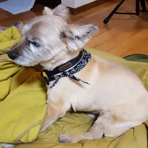 MINOLTA MC ROKKOR & Tokina FUJINON 4本セット - メルカリ