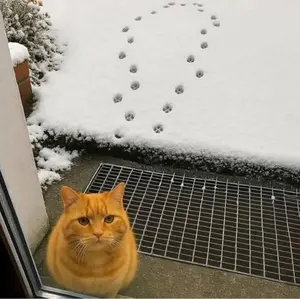 安室奈美恵 25周年記念 dポイントカード - メルカリ