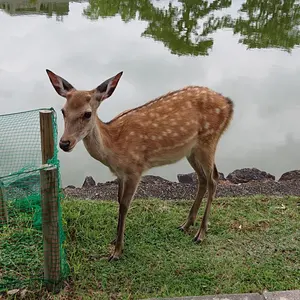 鬼滅の刃 全集中展 マニラ 宇髄さん3点セット① 鬼滅の刃 全集中展 マニラ 宇髄さん3点セット - メルカリ