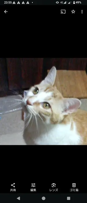 mirumi