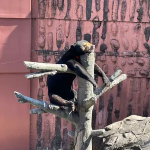 直接引き取り限定）IKEA カラックス キューブボックスα専用 アクリル