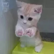 ☆レイ☆プロフ必読☆即購入OK☆