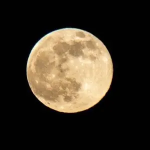 FE サイファ】神将の意志を継ぐ騎士 エリウッドSR+、SR2枚 - メルカリ