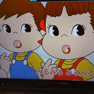 デッキシールド デデンネ、ギャラドス、ウィンディ、かがやく