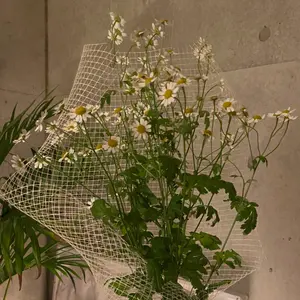 mikio sakabe シャツ　ホワイト　無地　花柄 mikio sakabe シャツホワイト無地花柄