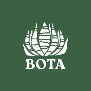 6 黒棘魔丸 コンパクト 肉厚丸短葉 ボールタイプ TC株 アガベ チタノタ