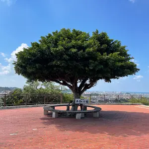 ALIENT LA RESPIRACION ME DEFINE 香水 - メルカリ