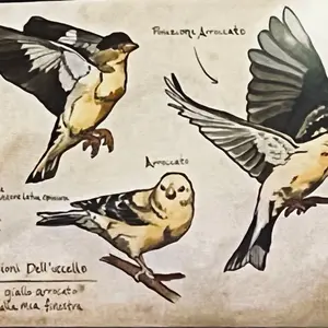 専用 ロープパーチ ピンクベージュ約55cm - メルカリ