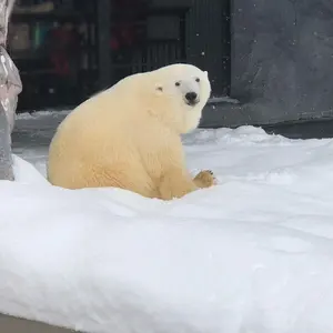 ワンピース 1〜78巻 777巻千巻 まとめ売り - メルカリ