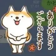 わんわんこ