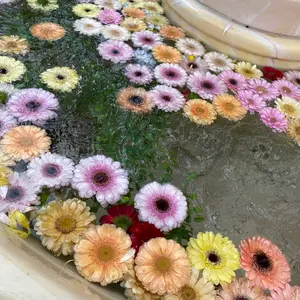 ふゆ