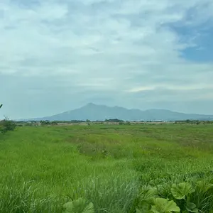 北上麗花 宮尾美也 カードフォリオ ミリオンライブ MR - メルカリ