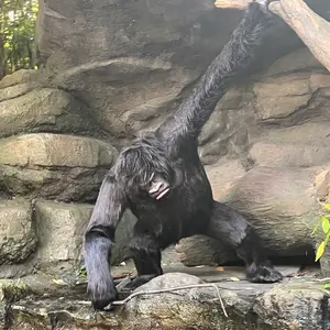 スターウォーズ ブラックシリーズ キャプテンカーディナル コマンダー