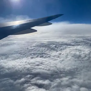 Max Muncy フィギュア 13 - メルカリ