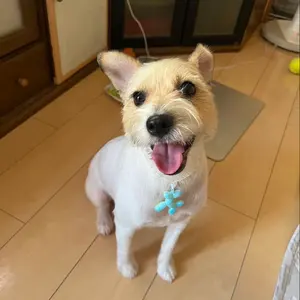 ふみや