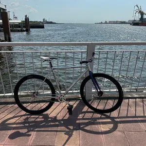 手渡し限定　SE Bikes PreniumBrew 52フレーム パープル 手渡し限定 SE Bikes PreniumBrew 52フレーム パープル - メルカリ