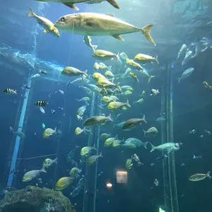 アートジャンキー新品・未開封「空飛ぶ子羊獣・ラムドン」 - メルカリ