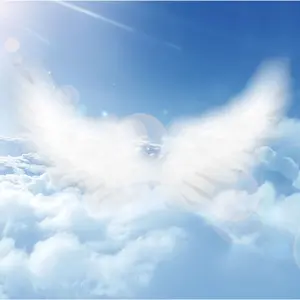 ノースエンジェル123456