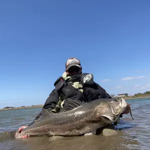 シマノ 24 ツインパワー C5000XG SHIMANO 10575 - メルカリ
