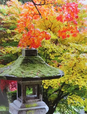 小山菁山の口伝（本人サイン、宛名入り） - メルカリ