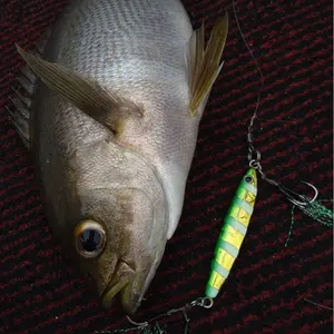 サーティーフォー34 入手困難な限定 ワーム11セット 非売品手提げ袋