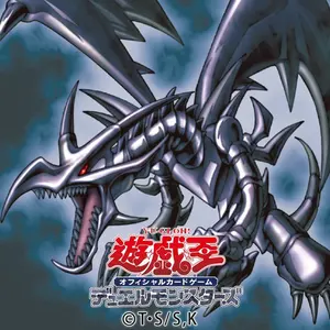 遊戯王 決闘王の記憶 サプライ デッキ スリーブ ストレージ まとめ売り 遊戯王 決闘王の記憶 サプライ デッキ スリーブ ストレージ