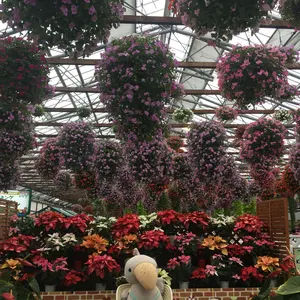 acka layered collar boa coat 2025 新品タグ付き - メルカリ