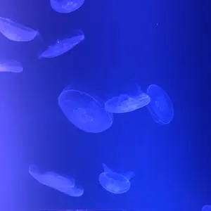 アイ 淵井鏑 ホラーマーケット - メルカリ