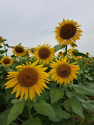 あーちゃん※プロフ必読