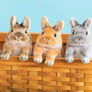 新品未使用 紀伊國屋 ボールアンドチェーン エコバッグ ベージュ