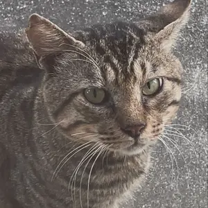 ヒカリ