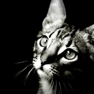 ♡marin♡リピ割り❤️まとめ割あり様専用ページ - メルカリ