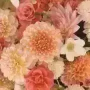 サラスワティ（幸運・金運の弁財天）像 - メルカリ