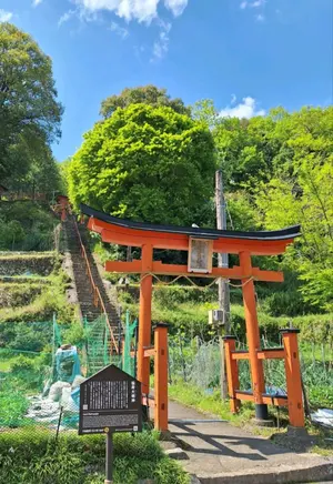 ヒロ　値下げ依頼しっかり検討します✨