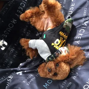 gt380マーシャルポイントカバー - メルカリ