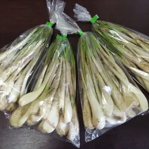 沖縄県産 サラダグアバ(白) Ｂ品約10kg【常温便】③ 沖縄県産 サラダグアバ(白) B品約10kg【常温便】② - メルカリ