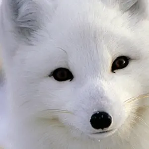 あき★閉店セール