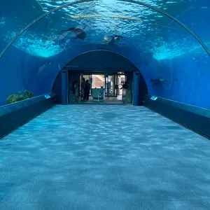 パラダイムトリガー黒炎の支配者シャイニートレジャーexパラパック合計139パック パラダイムトリガー黒炎の支配者シャイニートレジャーex