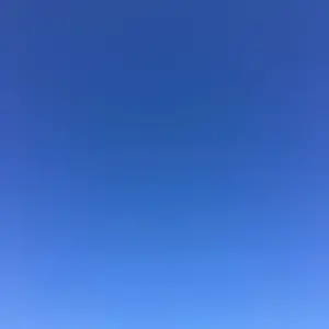 ★シュタイフ★STEIFF✖️FRAGMENT ALAIA★679223★新品★ Steiff - □新品□未使用□ Steiff シュタイフ×FRAGMENT ALAIA 679223